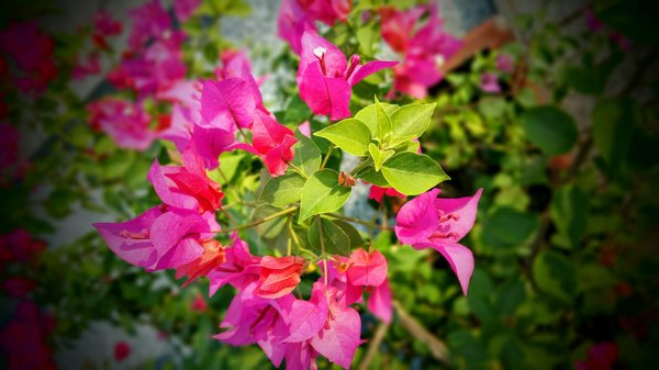 Mug pipelette : l'accessoire déco pour les grands bavards