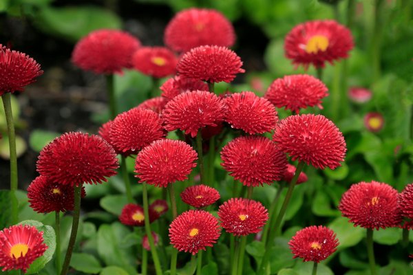 Constructeur maisons haute-vienne : votre projet de rêve personnalisé